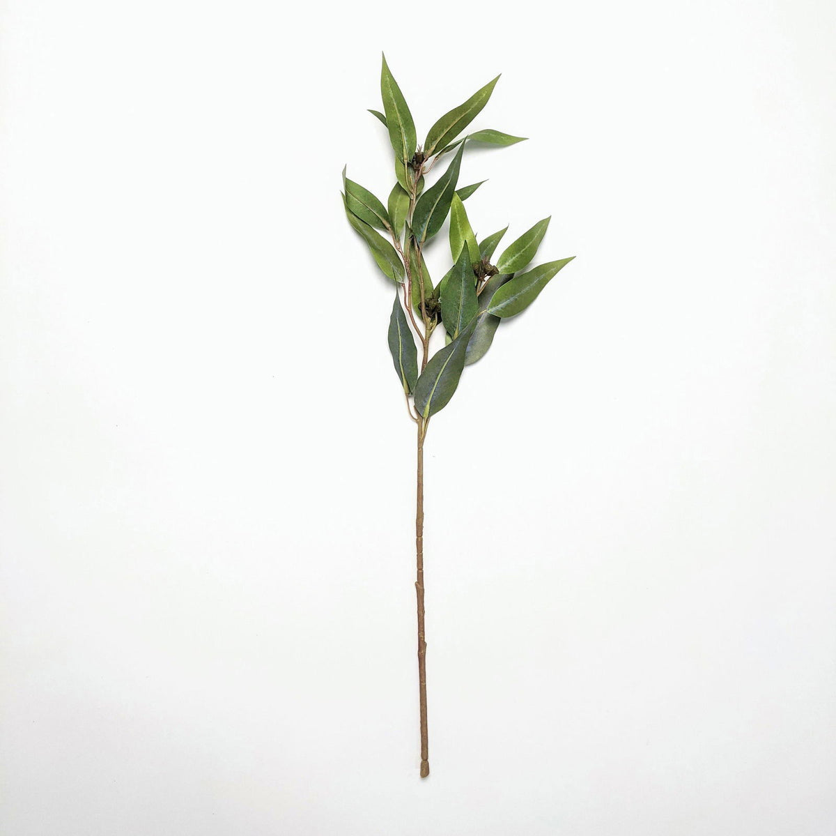 Artificial Gum - Eucalyptus Leaves - Green - Floral Default Title BUBULAND HOME