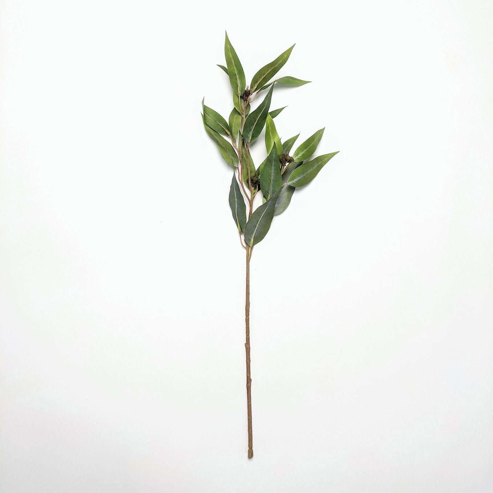 Artificial Gum - Eucalyptus Leaves - Green - Floral Default Title BUBULAND HOME