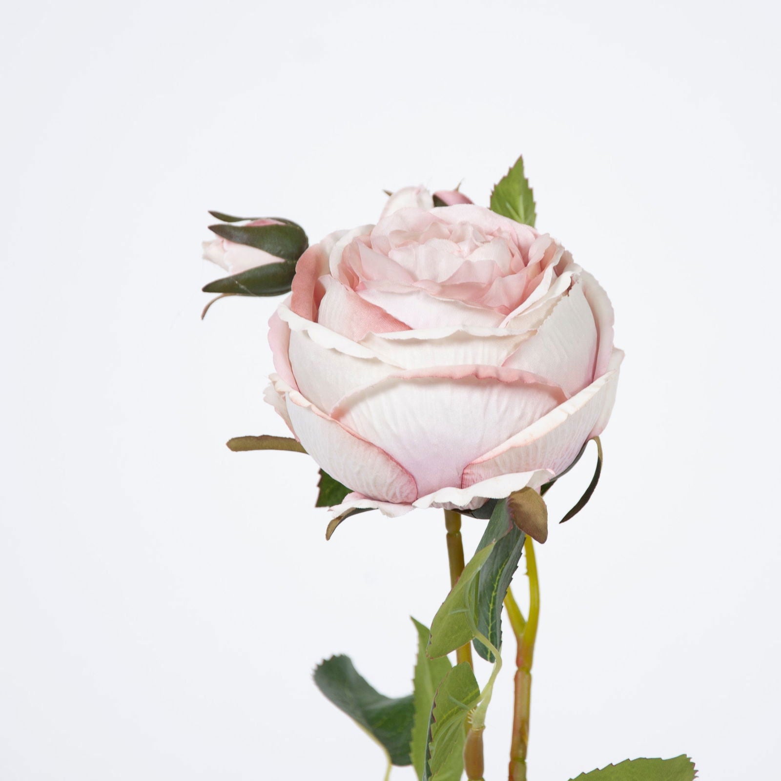 Artificial Louis XIV Rose BUBULAND HOME
