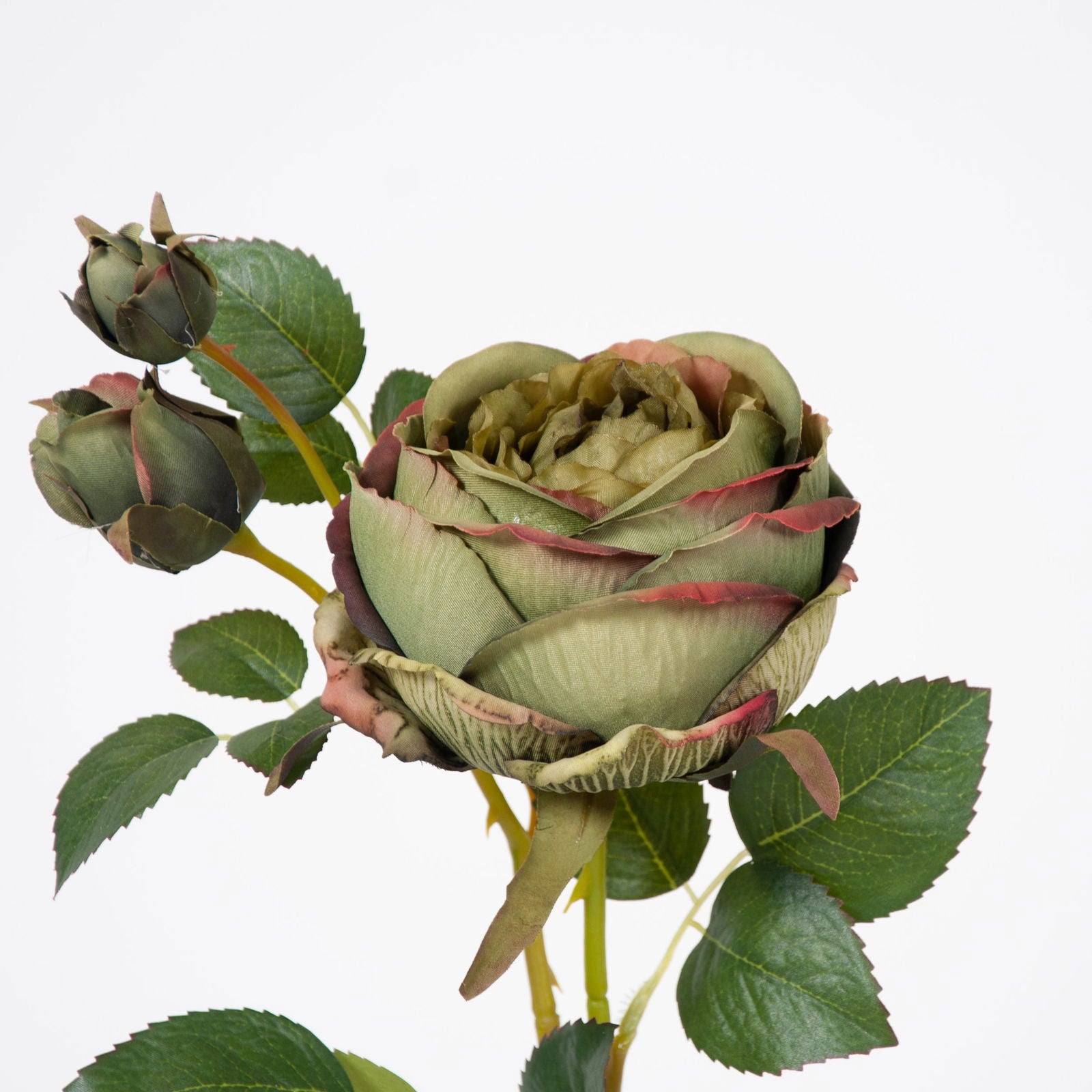 Artificial Louis XIV Rose BUBULAND HOME