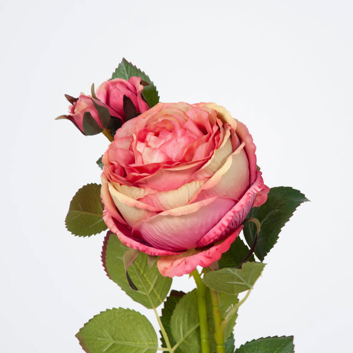 Artificial Louis XIV Rose BUBULAND HOME