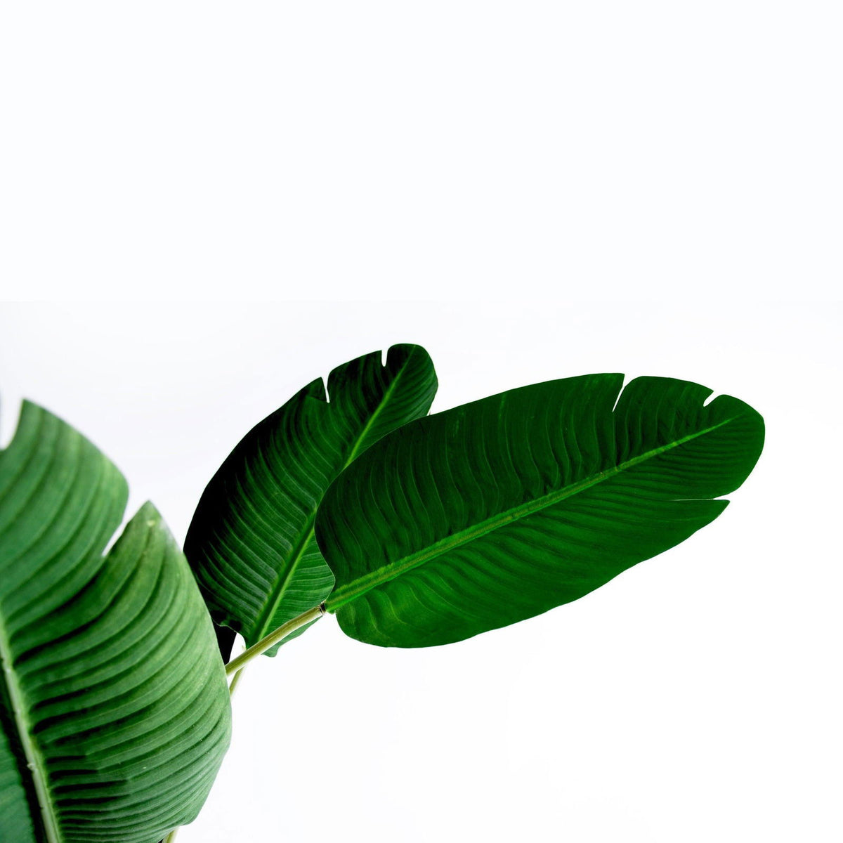 Artificial Potted Bird of Paradise Plant BUBULAND HOME