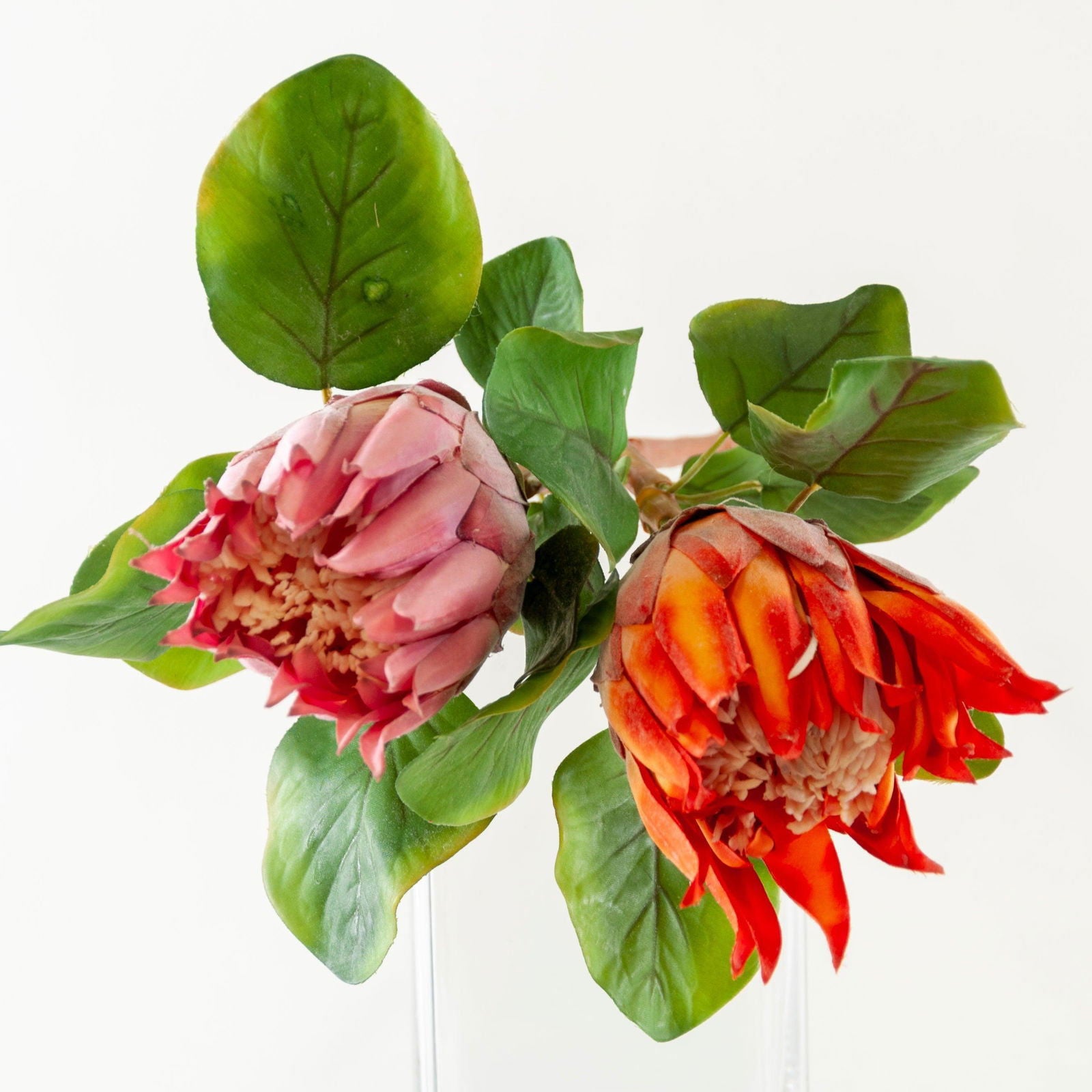 Artificial Protea Flower - Pink and Orange BUBULAND HOME