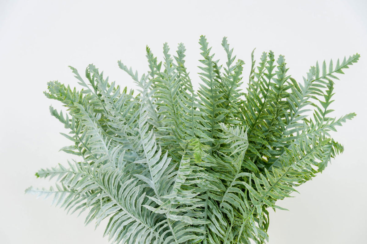Artificial Silver Fern Leaves Bunch BUBULAND HOME