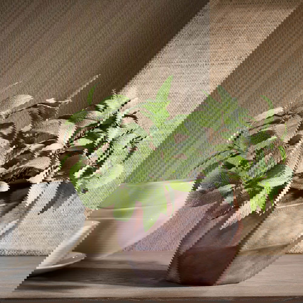 Faceted Irregular Cut Glass Vase BUBULAND HOME