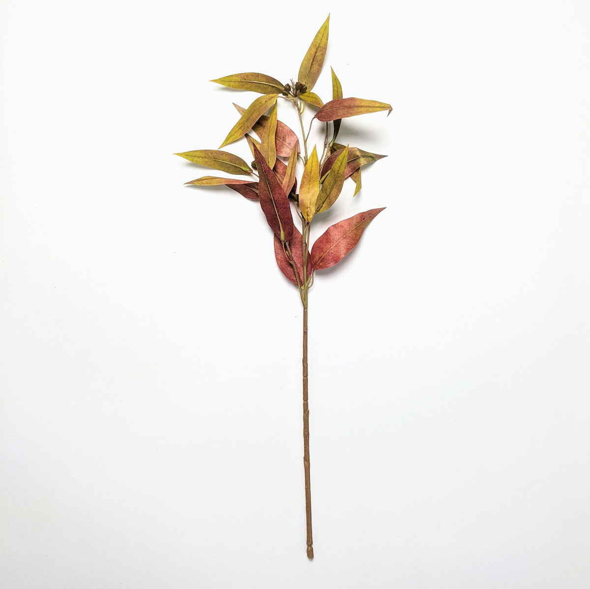 Artificial Gum - Eucalyptus Leaves - Yellow & Red - Floral Default Title BUBULAND HOME