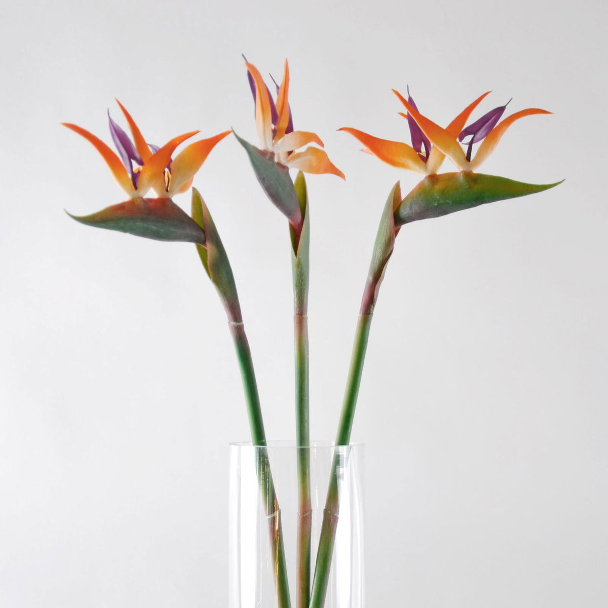 Artificial Bird of Paradise Flower BUBULAND HOME