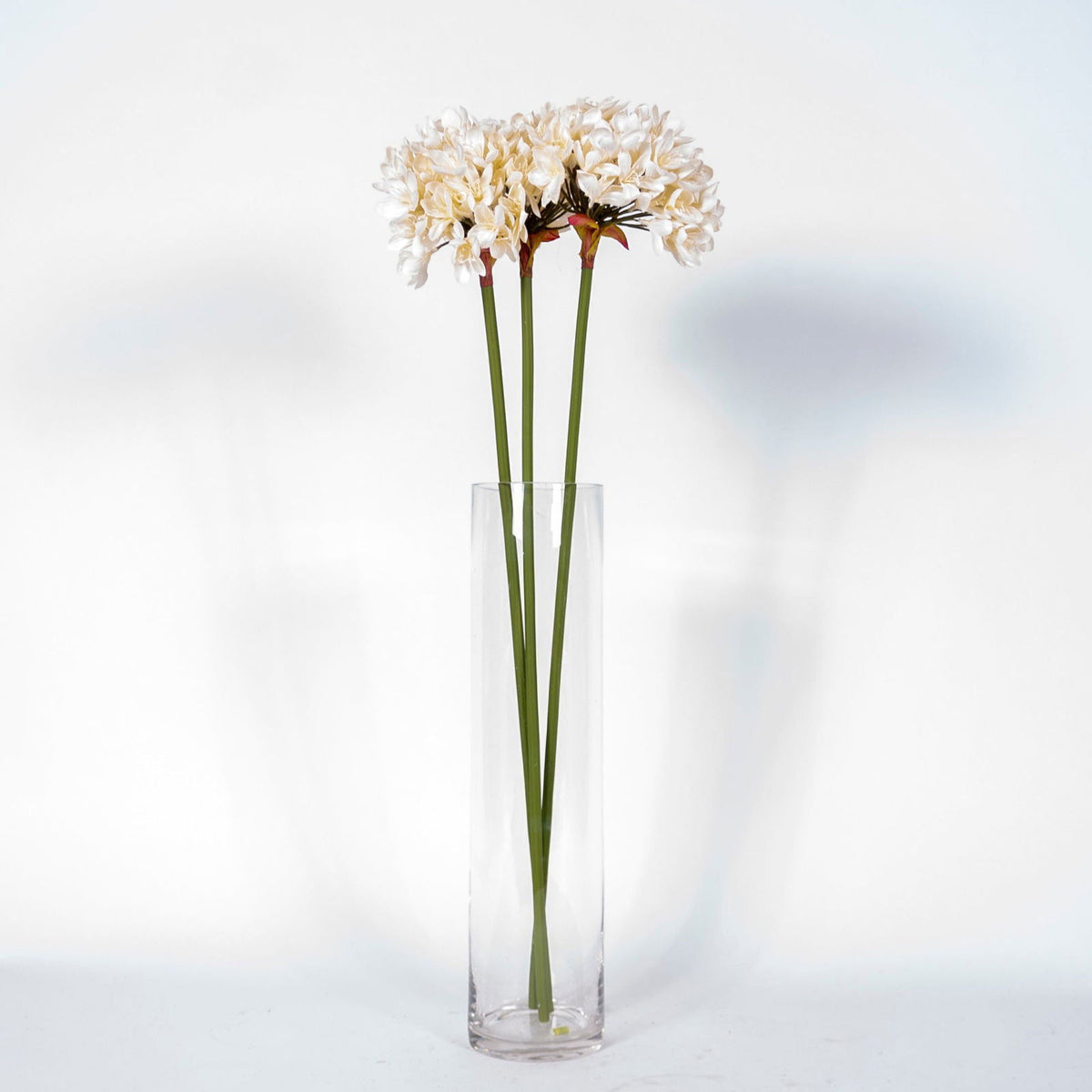 Artificial Cymbidium Ball - BUBULAND HOME