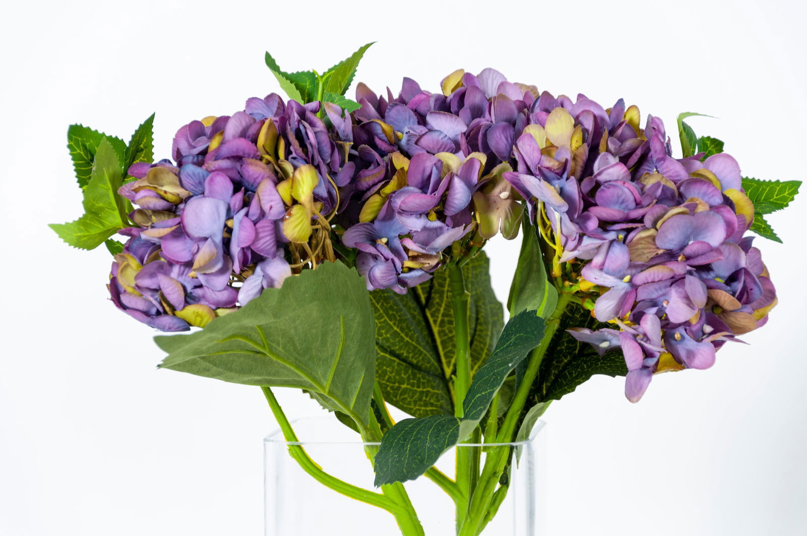 Artificial French Hydrangea - Floral Cream BUBULAND HOME