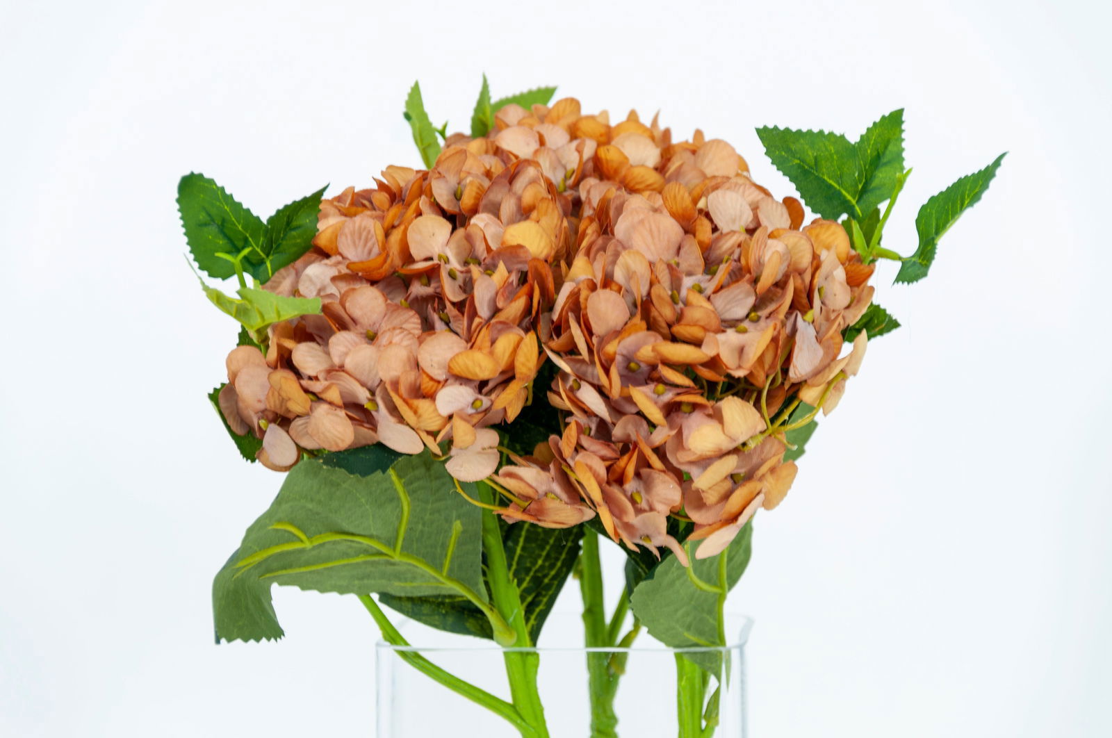 Artificial French Hydrangea - Floral Cream BUBULAND HOME