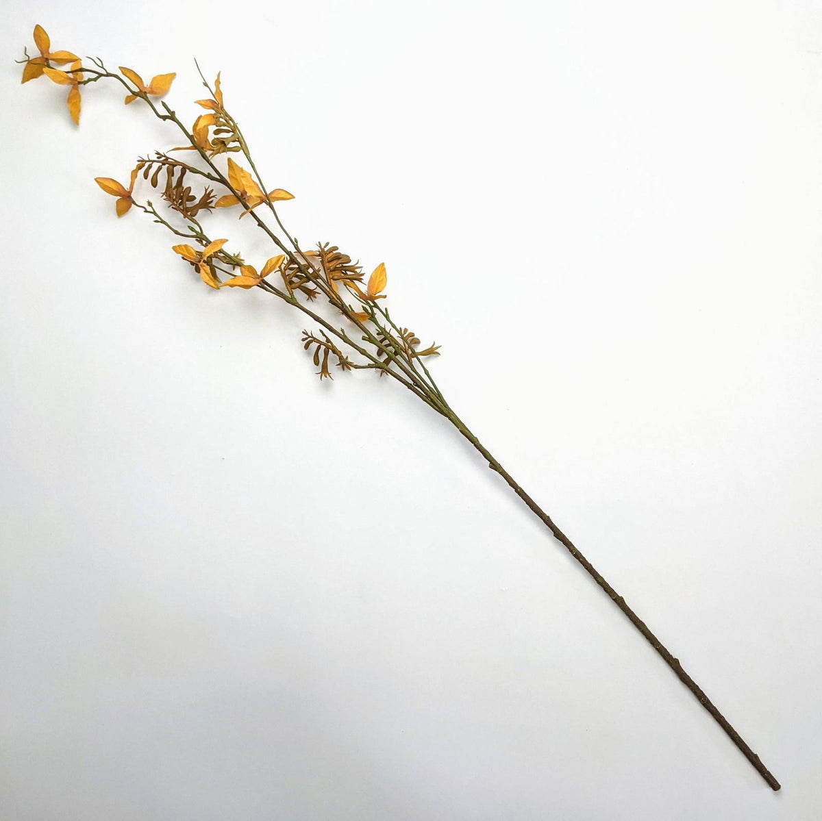 Artificial Kangaroo Paws Plant - Brown BUBULAND HOME