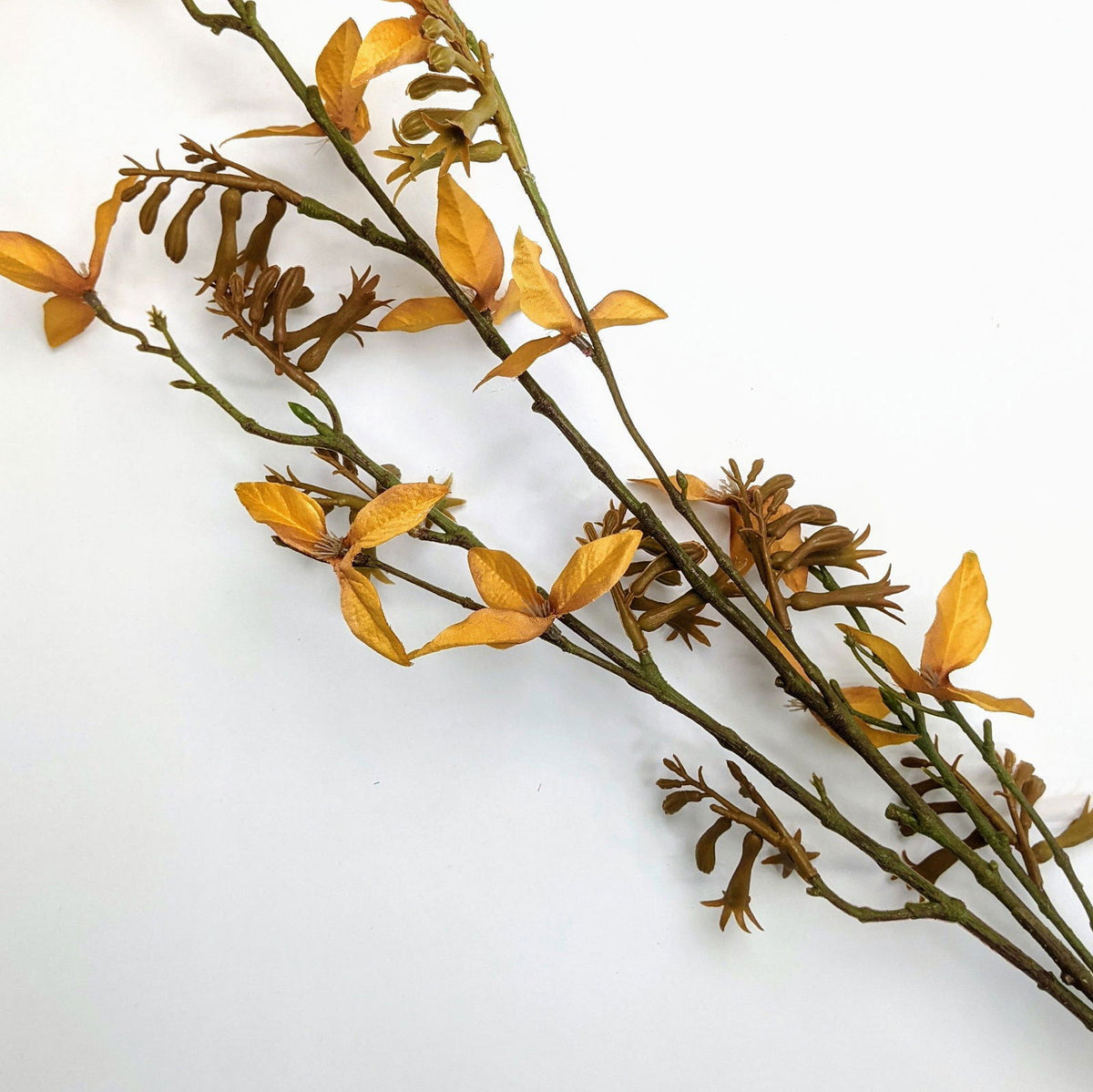 Artificial Kangaroo Paws Plant - Brown BUBULAND HOME