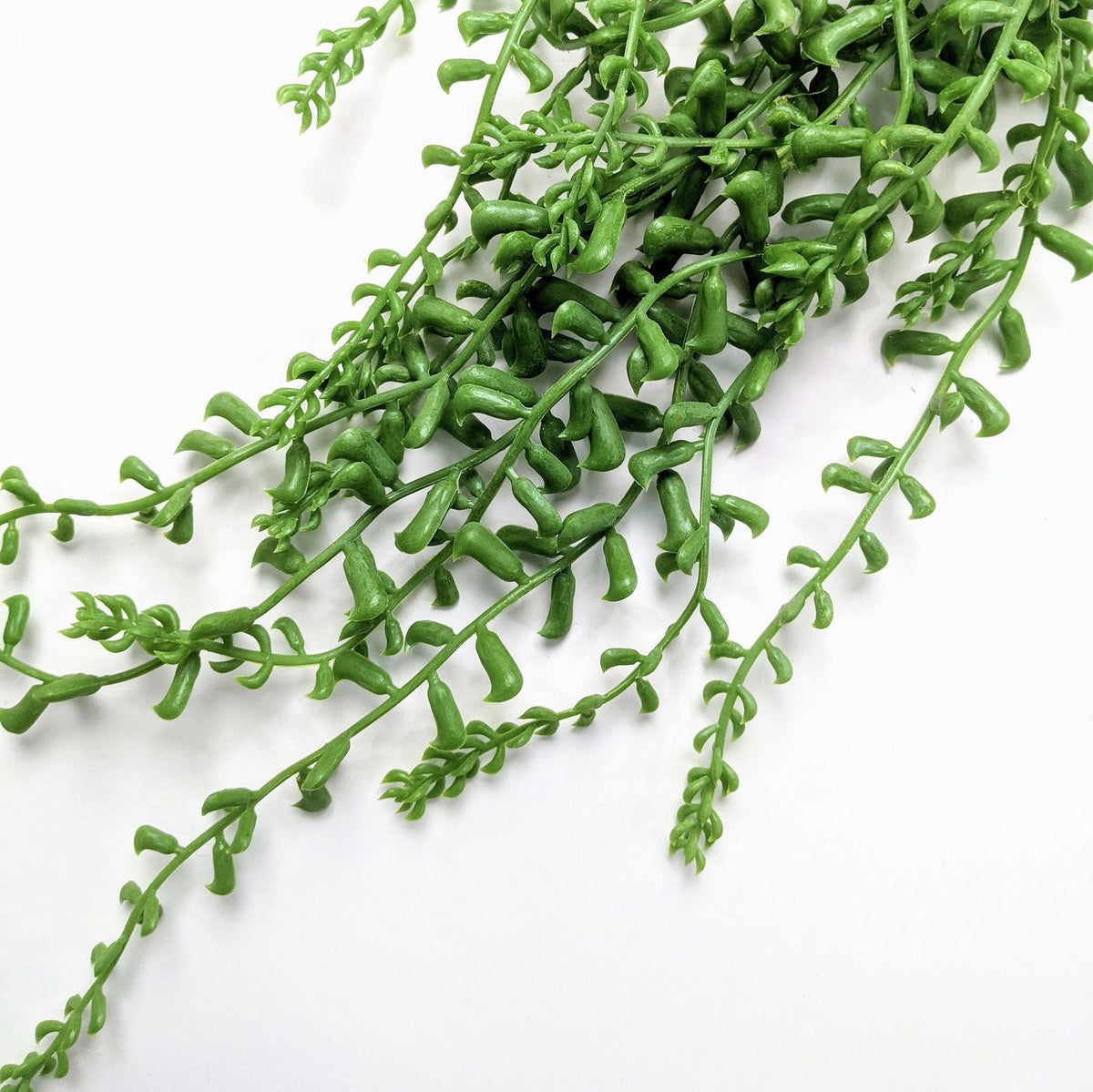 Artificial Long String of Pearls Hanging Plant - Green - BUBULAND HOME