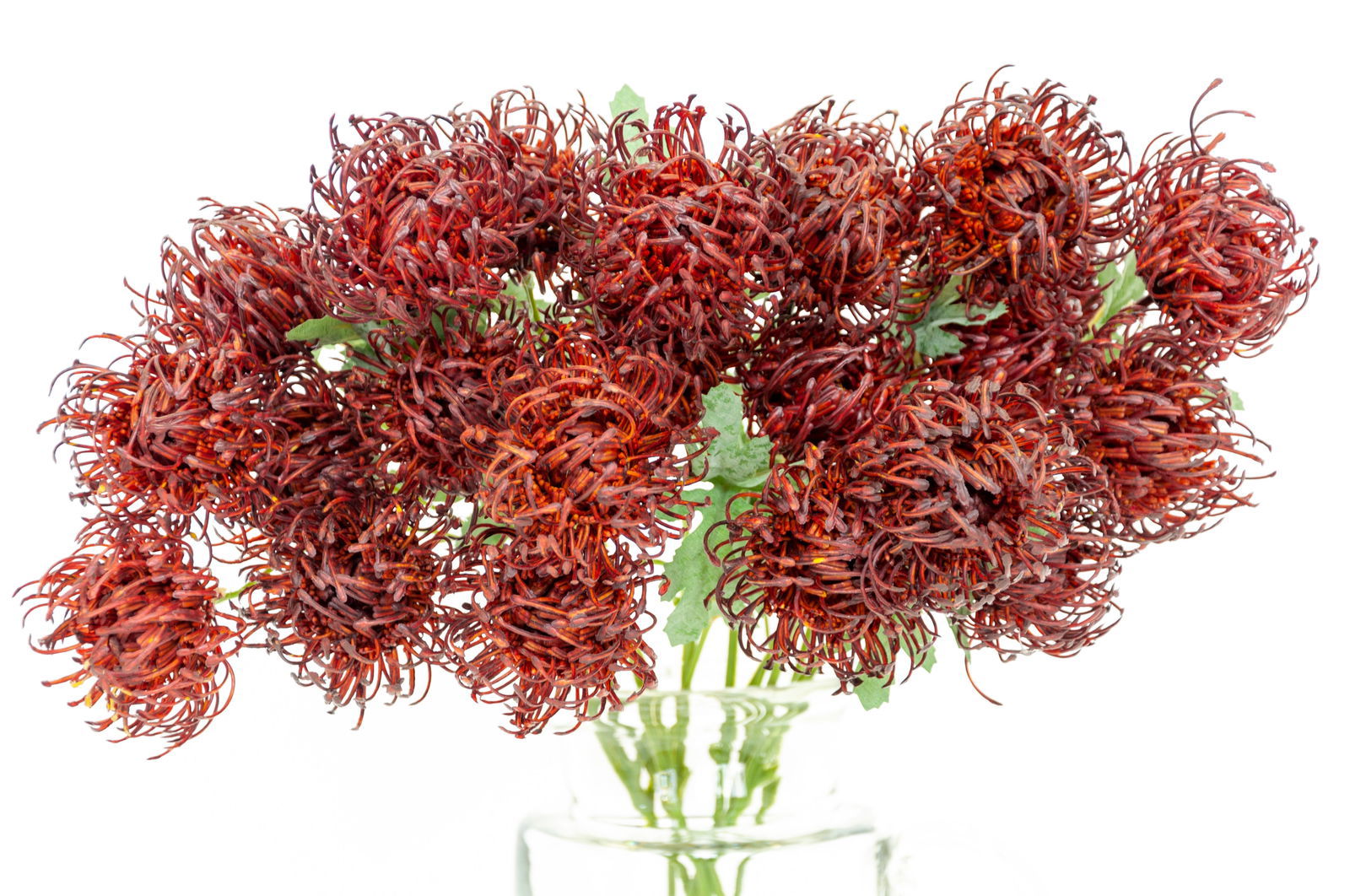 Artificial Marigold Flower - Floral Brown BUBULAND HOME