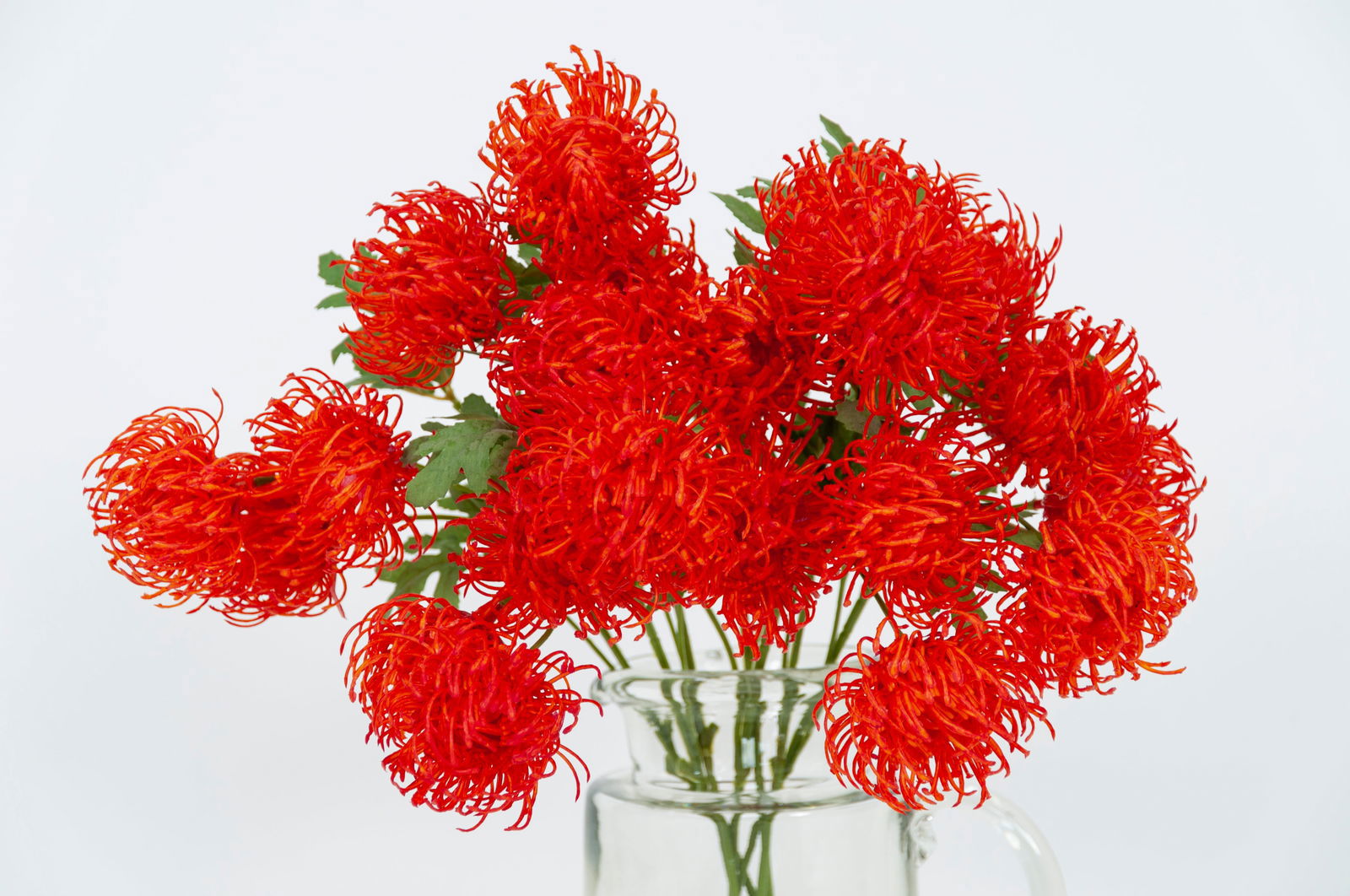 Artificial Marigold Flower - Floral Brown BUBULAND HOME