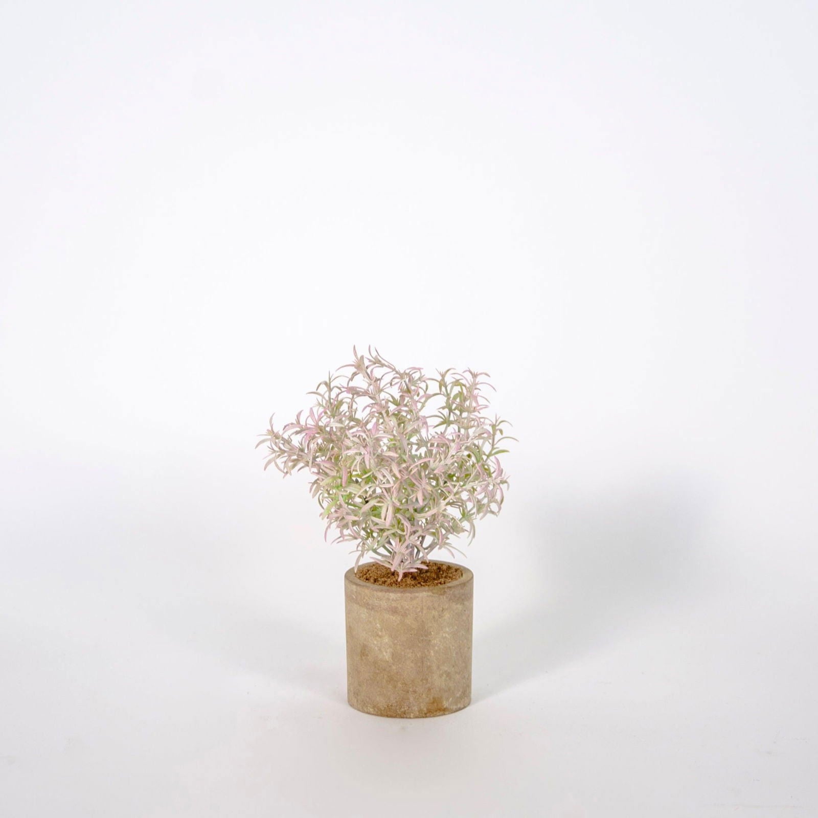 Artificial Pot Plants - BUBULAND HOME