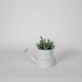 Artificial Pot Plants - BUBULAND HOME