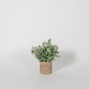 Artificial Pot Plants - BUBULAND HOME