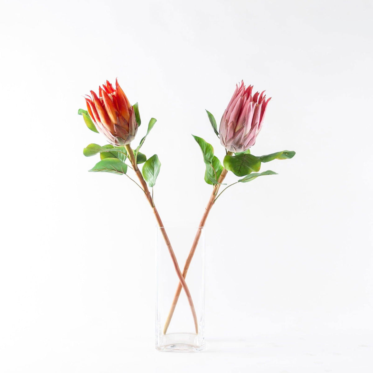 Artificial Protea Flower - Pink and Orange BUBULAND HOME