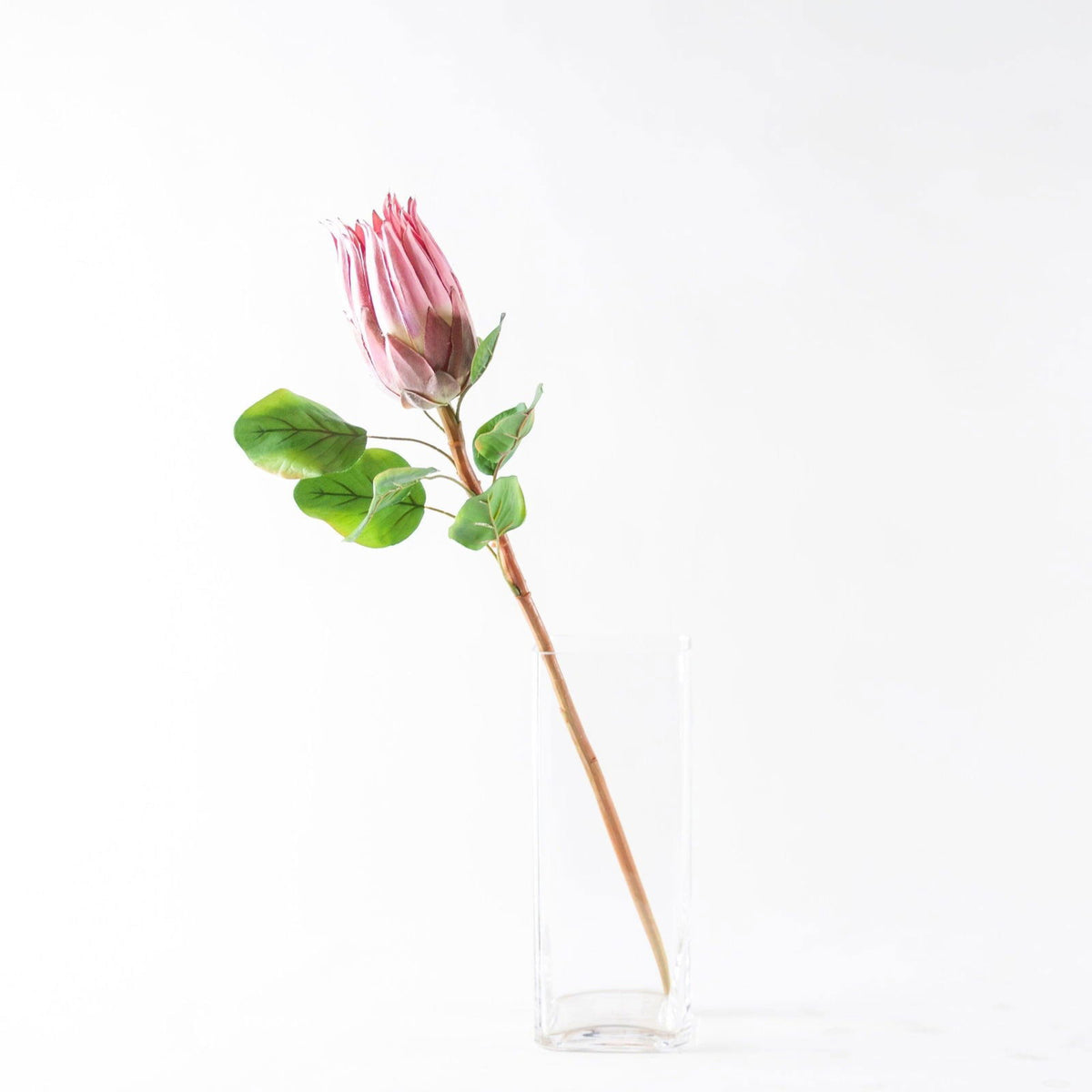 Artificial Protea Flower - Pink and Orange BUBULAND HOME