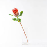 Artificial Protea Flower - Pink and Orange - Floral Orange BUBULAND HOME