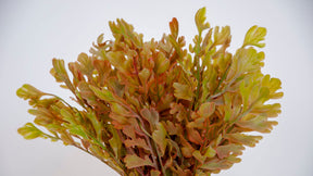 Artificial Bush Leaves - Floral Yellow BUBULAND HOME