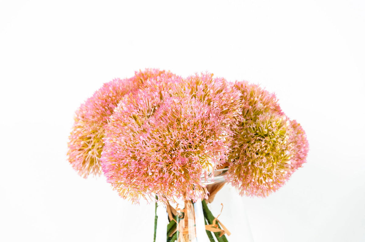 Chrysanthemum Ball - BUBULAND HOME