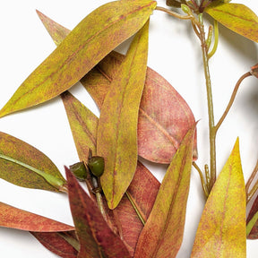 Artificial Gum - Eucalyptus Leaves - Yellow & Red BUBULAND HOME