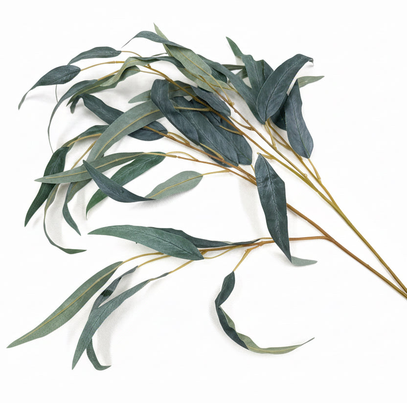 Green leaves on a white background