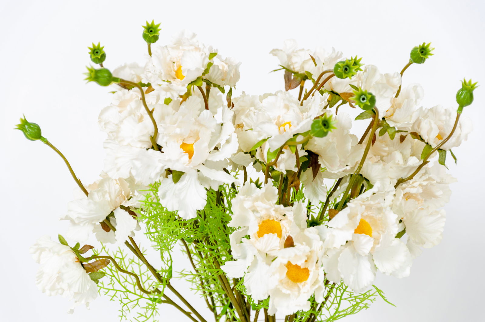 Iceland Pincushion Flower - BUBULAND HOME