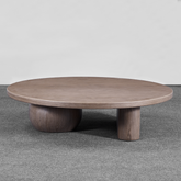 Orb  Timber Coffee Table Front View in Timber Room