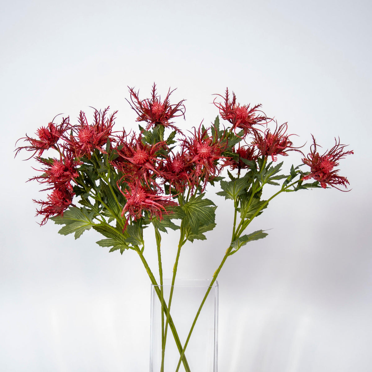 Wild Eryngium Flower - BUBULAND HOME