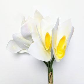 Orchid Bouquet - White - BUBULAND HOME