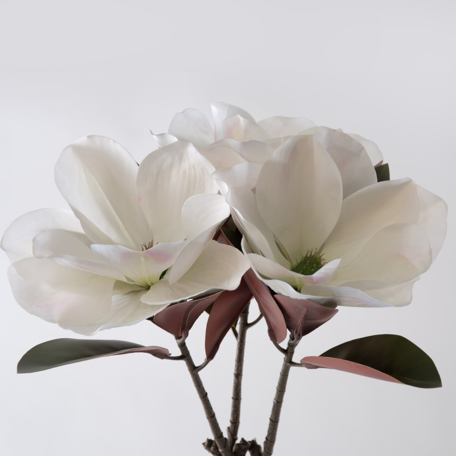 Magnolia Flower - Pink and White - BUBULAND HOME